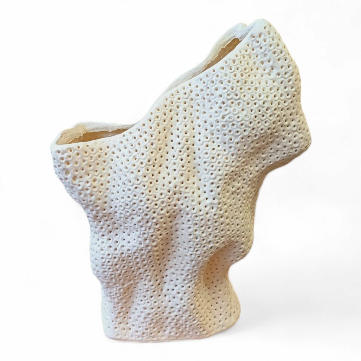 Vaso Coral