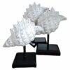 Trio Escultura Caravela Branca