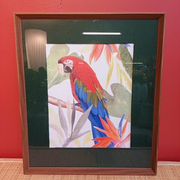 Quadro Arara 63x73 cm