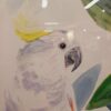 Quadro Cacatua de Crista Amarela 63x73 cm - Imagem 5