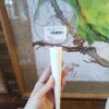 Lupa Cone Branco - Image 4