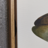 Quadro Canvas Peixes 92x72 cm - Imagem 4