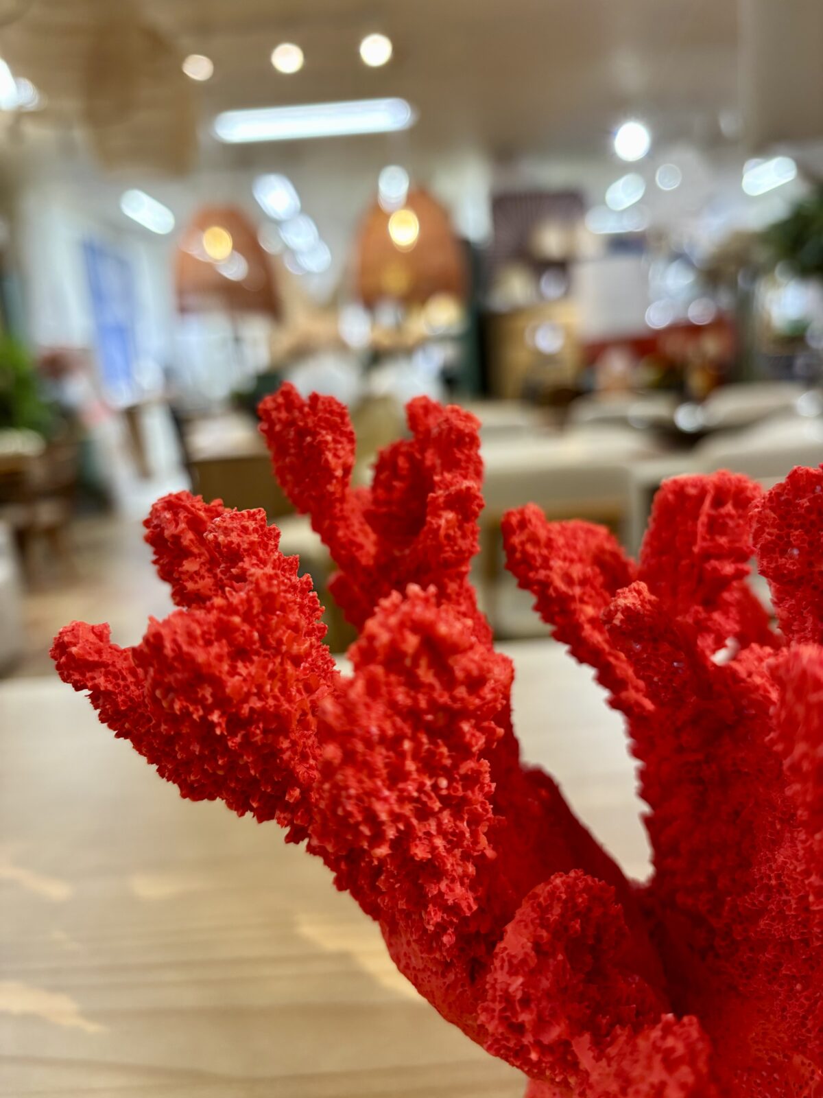 Escultura Coral Vermelho em Resina - Fino Acabamento - Image 3