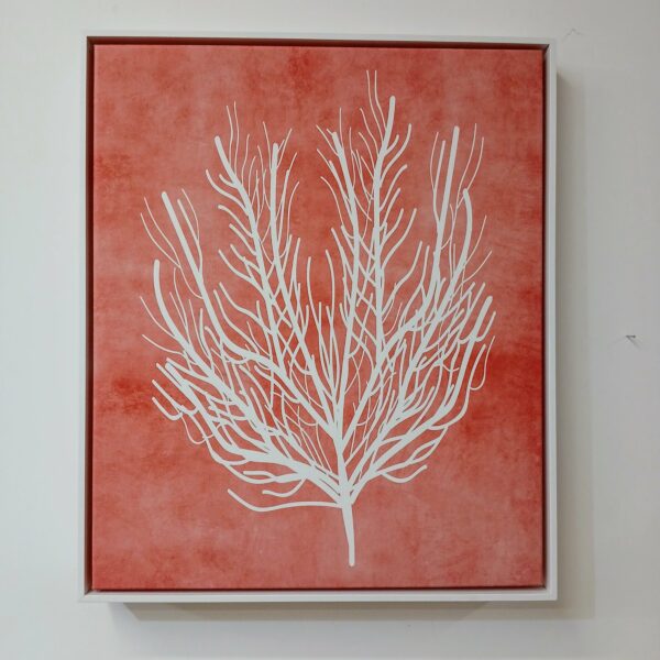 Quadro Canvas Coral Moldura Branca - 62x52 cm