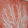 Quadro Canvas Coral Moldura Branca - 62x52 cm - Imagem 4