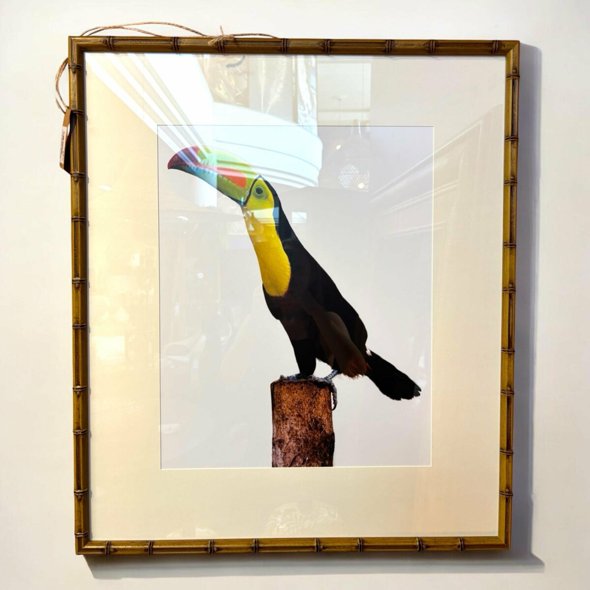 Quadro Tucano com Vidro| Moldura em Bambu|63x73 cm
