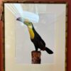Quadro Tucano com Vidro| Moldura em Bambu|63x73 cm - Imagem 3