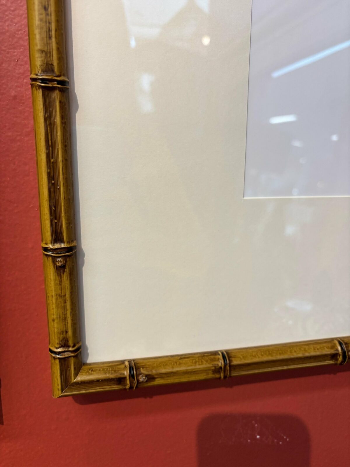 Quadro Tucano com Vidro| Moldura em Bambu|63x73 cm - Image 8