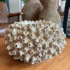 Vaso Decorativo Pequeno Coral em Resina - Imagem 2