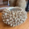 Vaso Decorativo Pequeno Coral em Resina