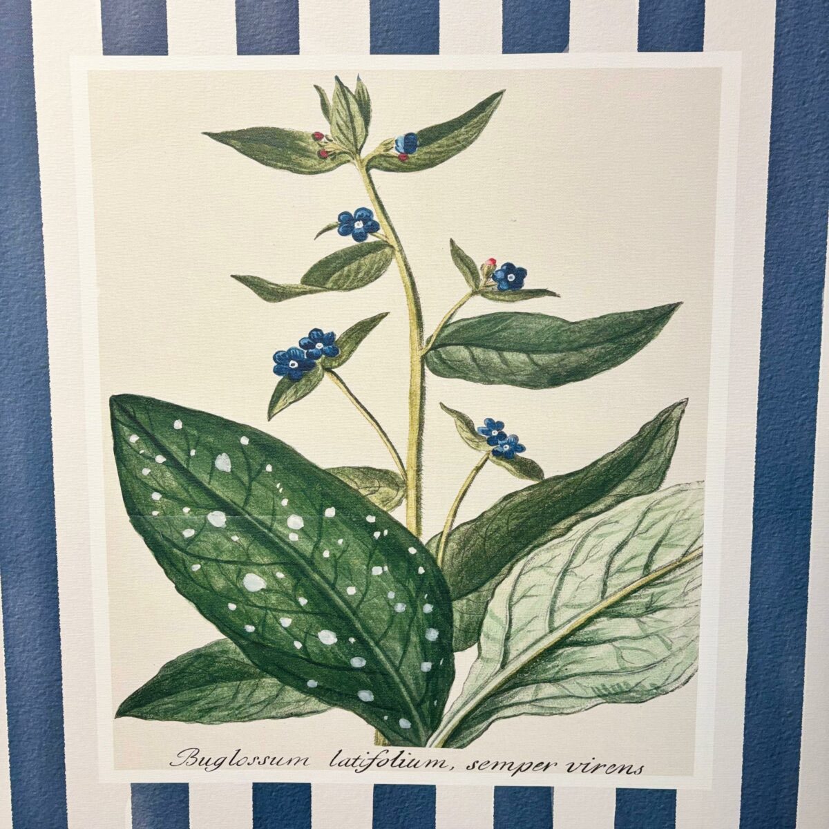 Quadro Jardim Botânico Listras - Moldura em Madeira de Eucalipto - 93x93 cm - Imagem 4
