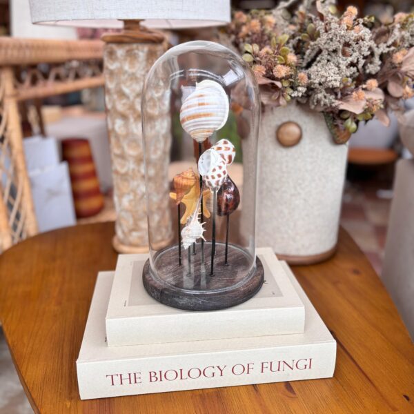 Escultura Conchas Sortidas - 32 cm de Altura