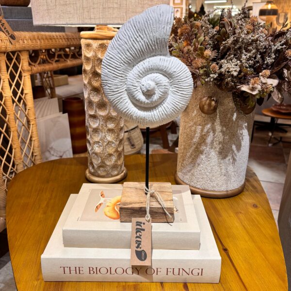 Escultura Concha em Resina